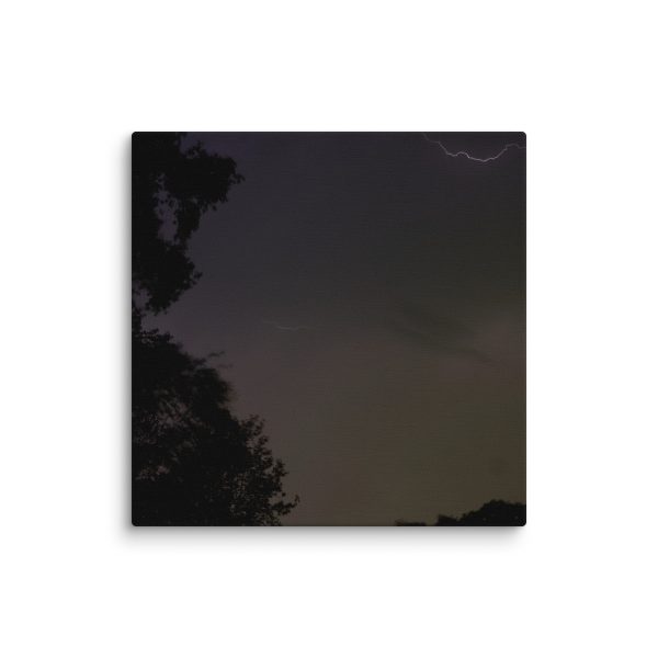Canvas - Image 42