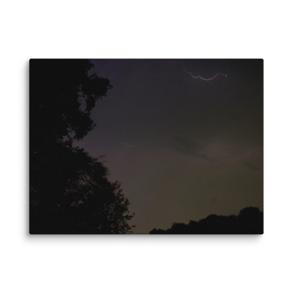 Canvas - Image 41
