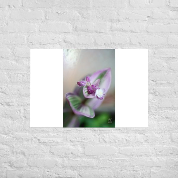 Purple Pulse - Image 12