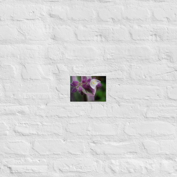 Fuzzy Bloom - Image 15