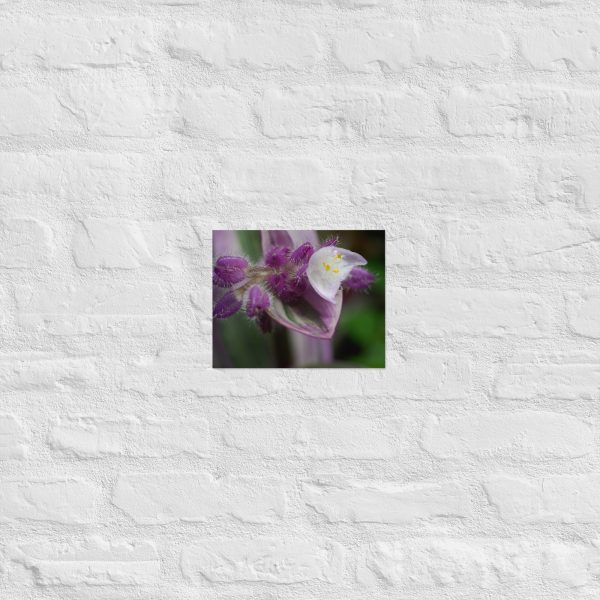 Fuzzy Bloom - Image 16