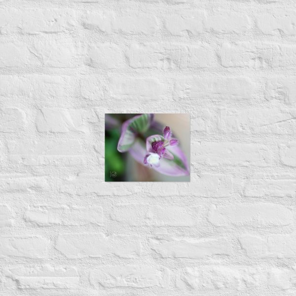 Purple Pulse - Image 13