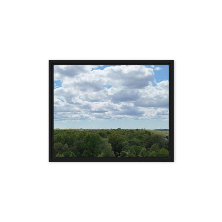 Michigan Sky Framed canvas