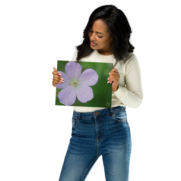 WildBloom Metal prints