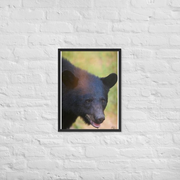 Wilderness Stare - Framed Poster Print - Image 3