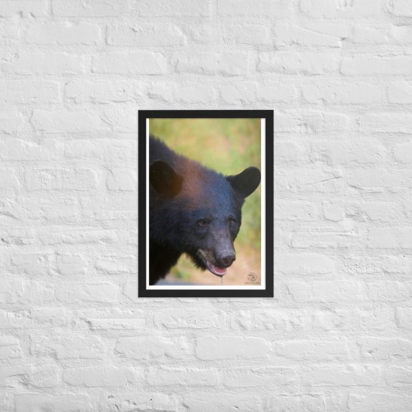 Wilderness Stare - Framed Poster Print - Image 4
