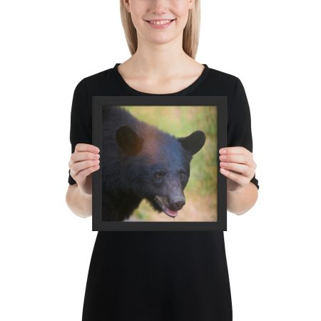 “Wilderness Stare” – Framed Poster Print