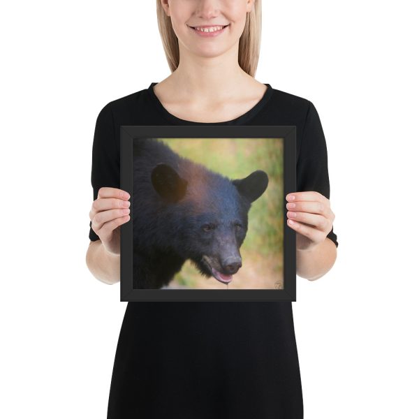 “Wilderness Stare” – Framed Poster Print