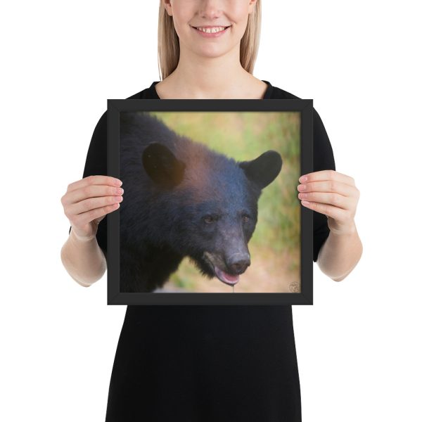 “Wilderness Stare” – Framed Poster Print - Image 2