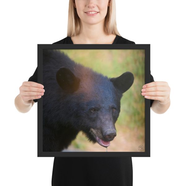 “Wilderness Stare” – Framed Poster Print - Image 4