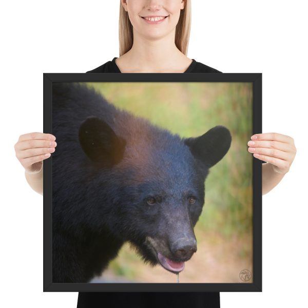 “Wilderness Stare” – Framed Poster Print - Image 5