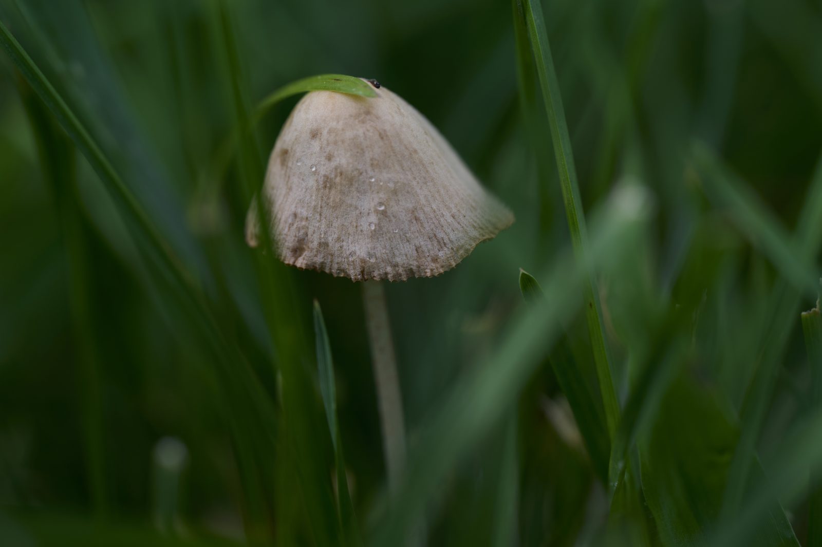 NZ6_8564 1