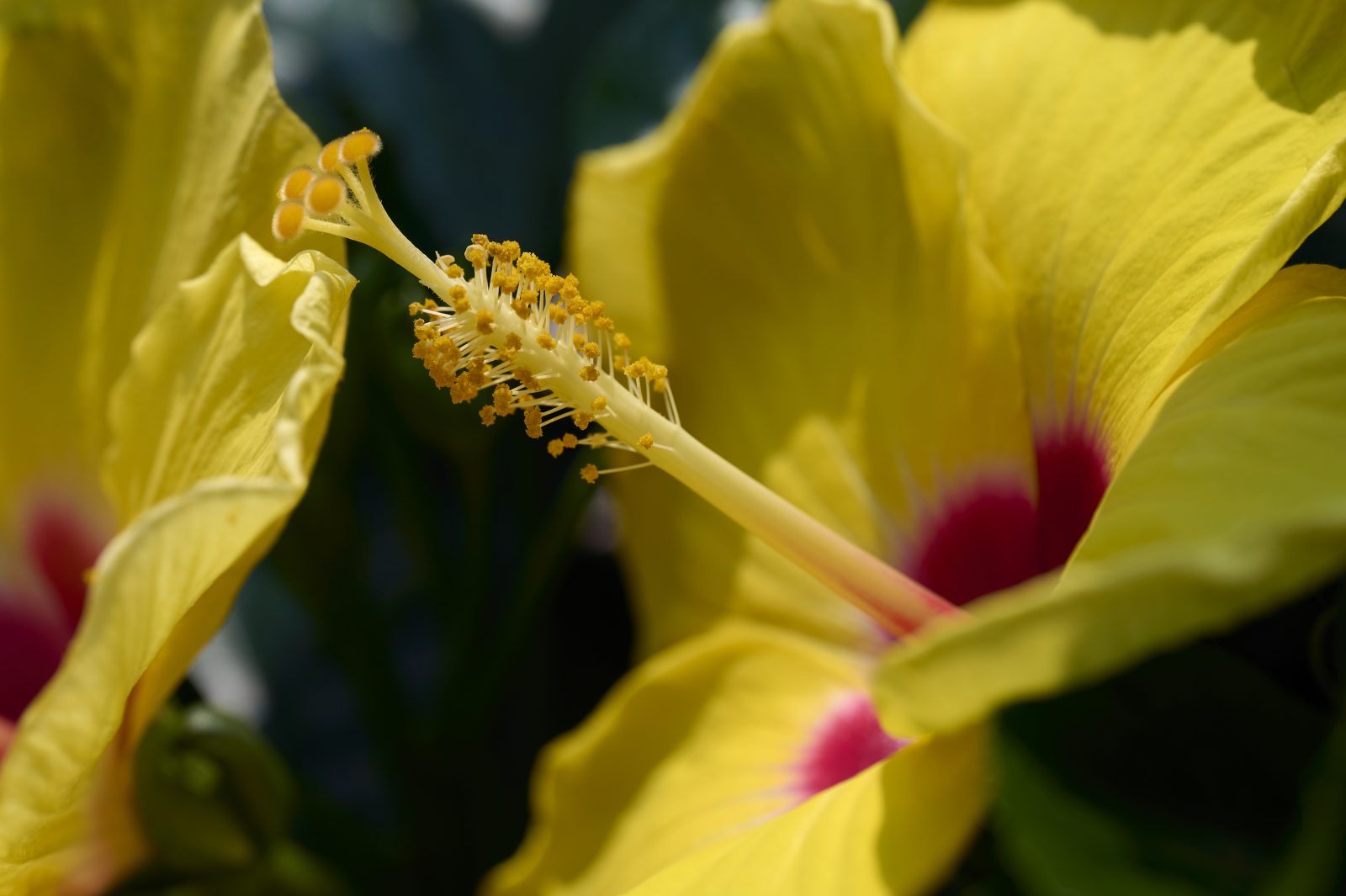 NZ6_9960 1