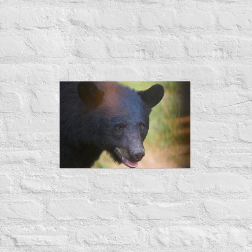 enhanced-matte-paper-poster-in-12x18-front-685314c1d9263.jpg