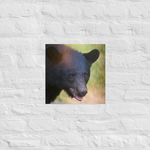 enhanced-matte-paper-poster-in-14x14-front-685314c1d9373.jpg
