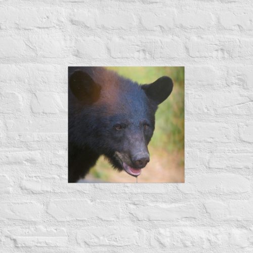 enhanced-matte-paper-poster-in-16x16-front-685314c1d947f.jpg
