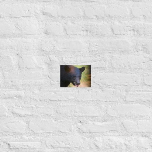 enhanced-matte-paper-poster-in-5x7-front-685314c1d9984.jpg