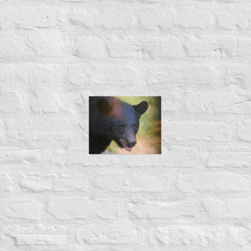 enhanced-matte-paper-poster-in-8x10-front-685314c1d9a90.jpg