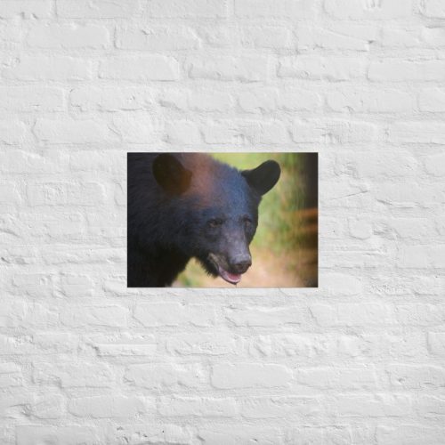 enhanced-matte-paper-poster-in-a2-16.5x23.3-front-685314c1d8d2e.jpg